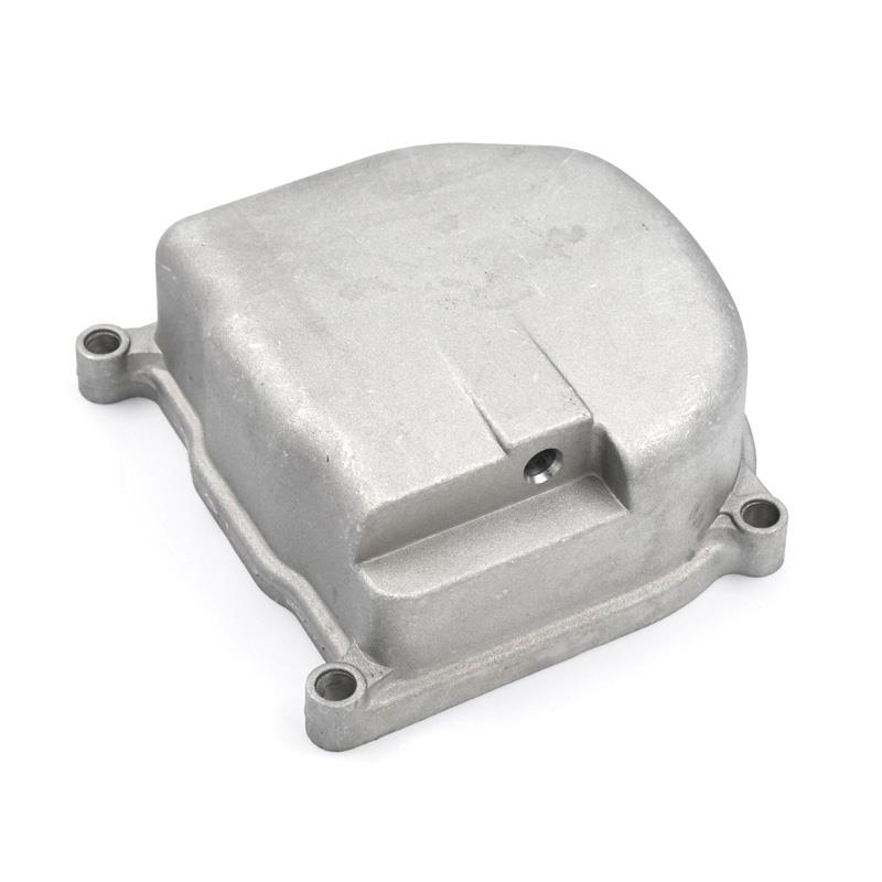 POKROV GLAVE VALJA - VIPARD GENOVA / NAPOLI