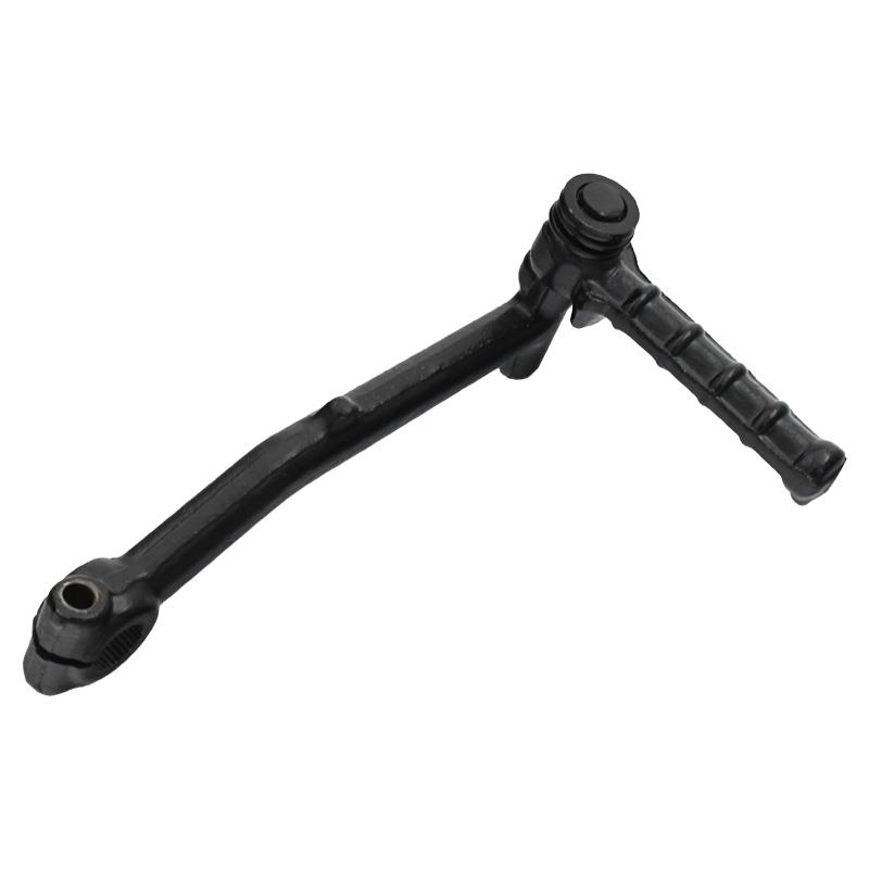 ROČICA ZAGONA - LONGJIA 1B1