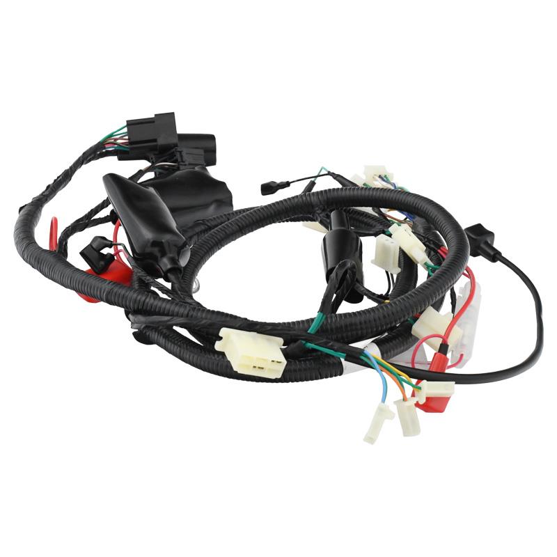 GLAVNI SPLET KABLOV EURO5 - LONGJIA ROMA XS