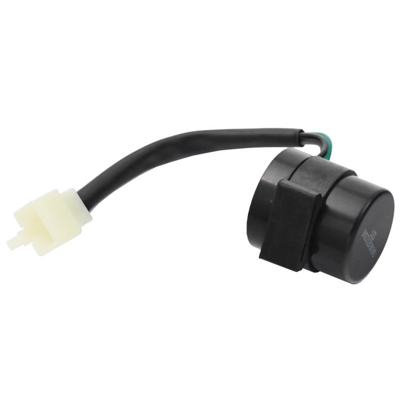 RELE SMERNIKOV - VIPARD GENOVA