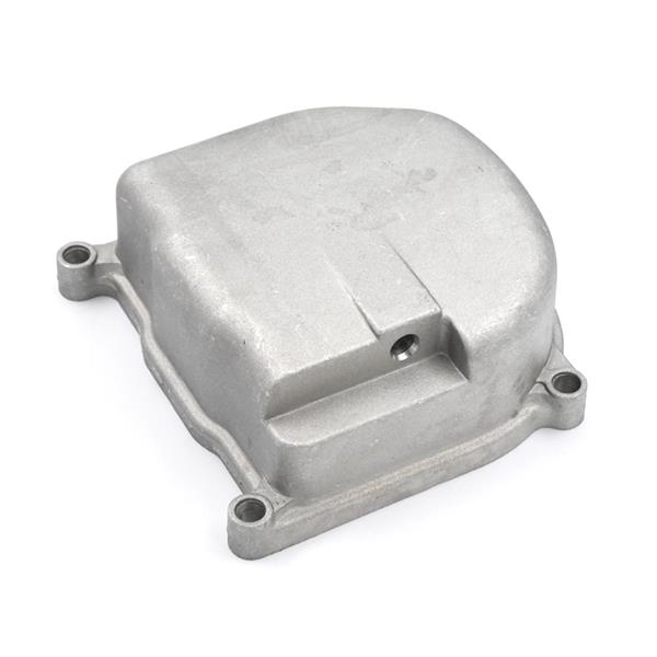 POKROV GLAVE VALJA - VIPARD GENOVA / NAPOLI