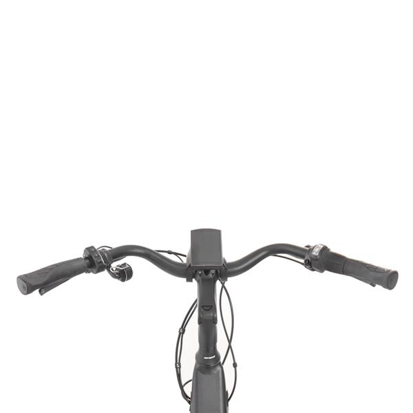 ELEKTRIČNO KOLO ROCK MACHINE CITYRIDE E250